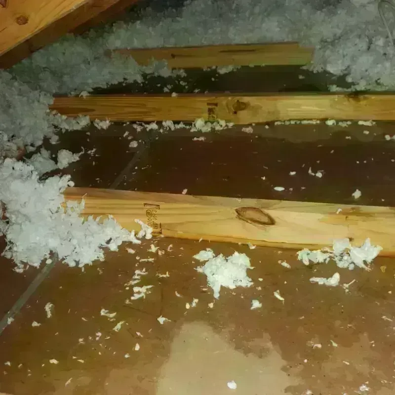 Attic Water Damage in Dickens County, TX